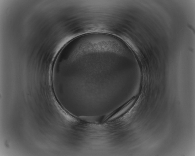 X0000097751246200803071241
