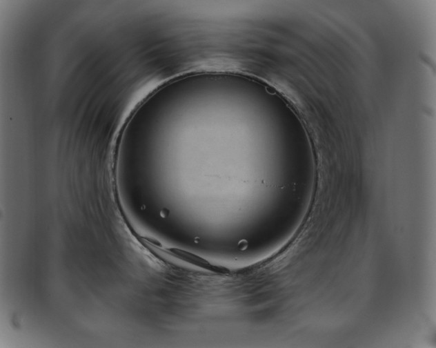 X0000097751248200803071241