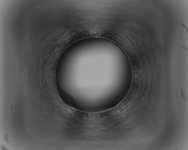 X0000097751249200803071240