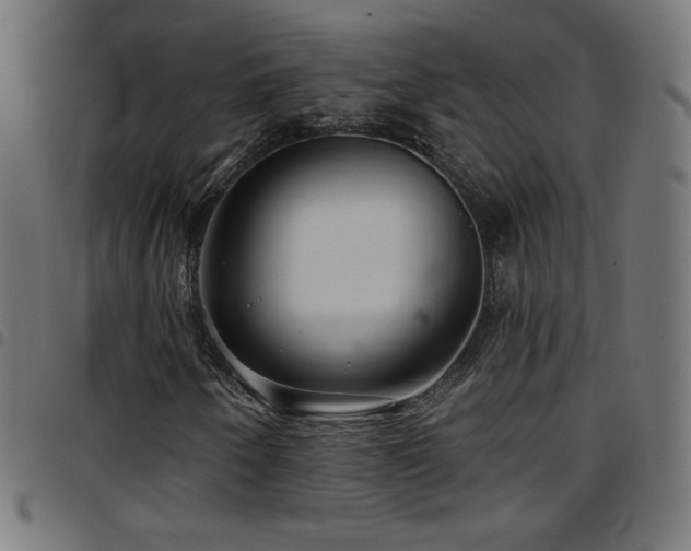 X0000097751250200803071240