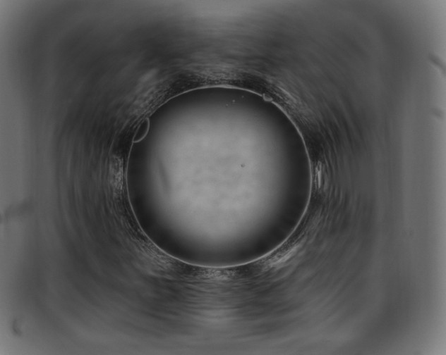X0000097751251200803071240