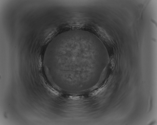 X0000097751252200803071240