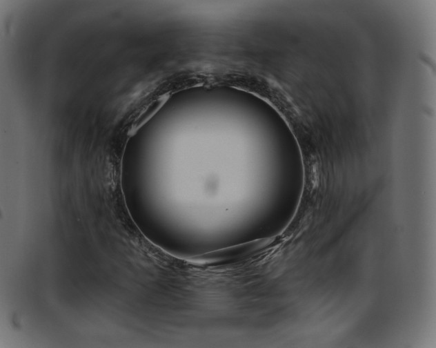X0000097751253200803071240