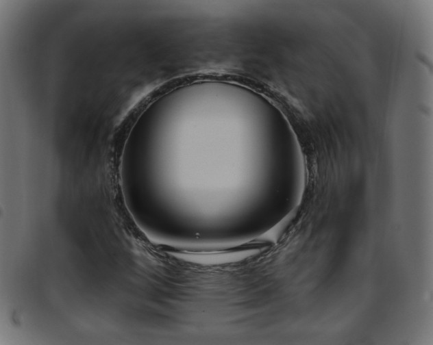 X0000097751256200803071240