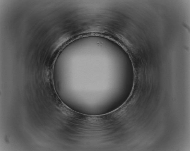 X0000097751258200803071240