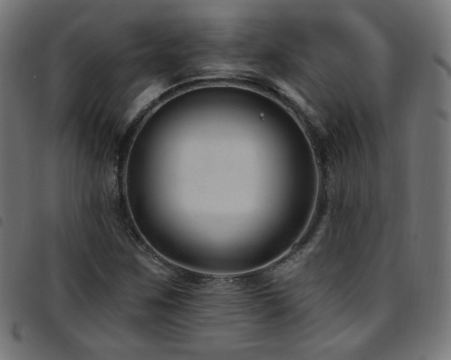 X0000097751259200803071240