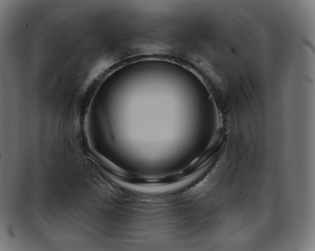 X0000097751261200803071240