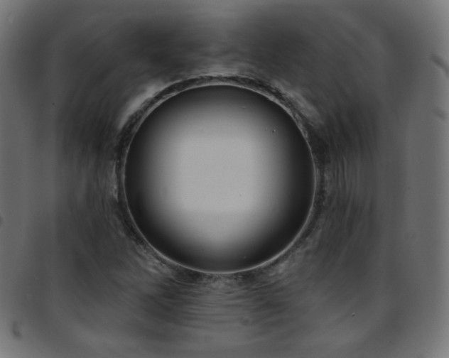 X0000097751262200803071240
