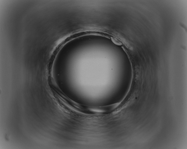 X0000097751264200803071240