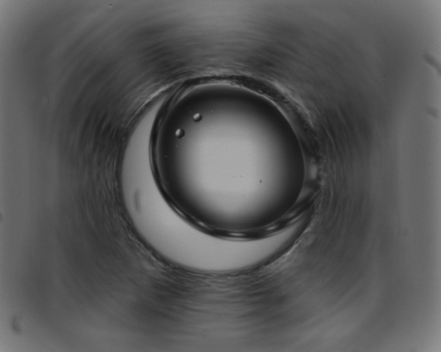 X0000097751265200803071240