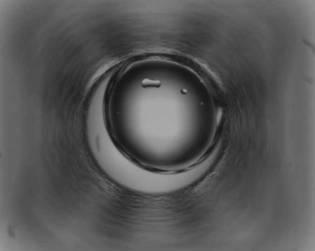 X0000097751266200803071240