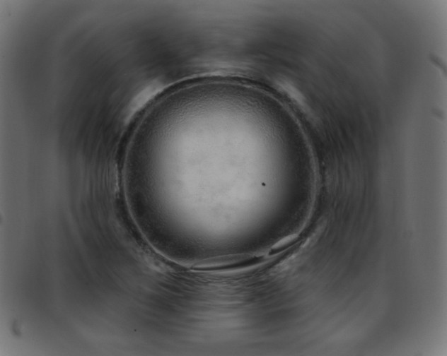 X0000097751267200803071240
