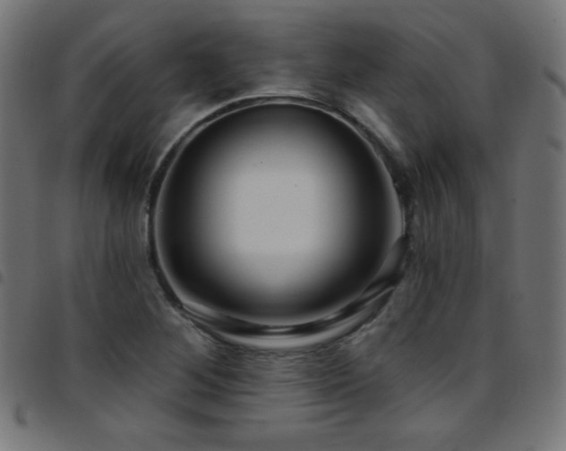 X0000097751268200803071240