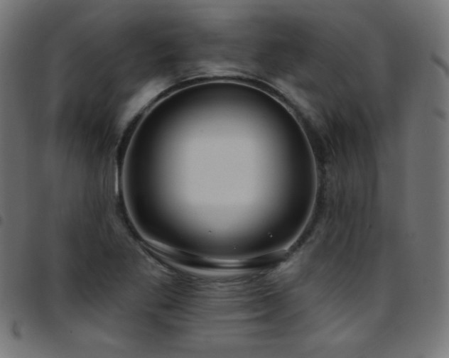 X0000097751269200803071240