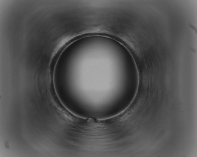 X0000097751270200803071240
