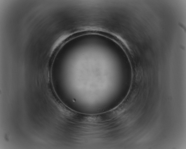 X0000097751271200803071240
