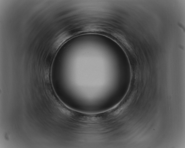 X0000097751273200803071240