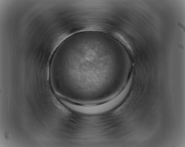 X0000097751276200803071240