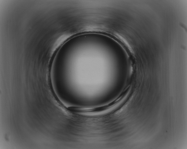 X0000097751277200803071240