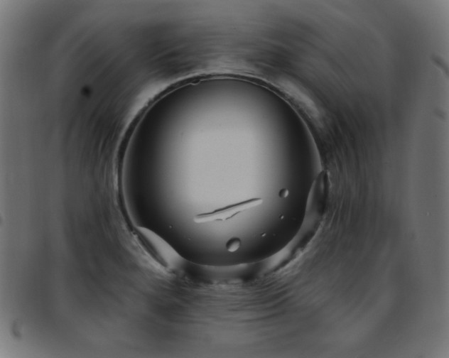 X0000097751280200803071240