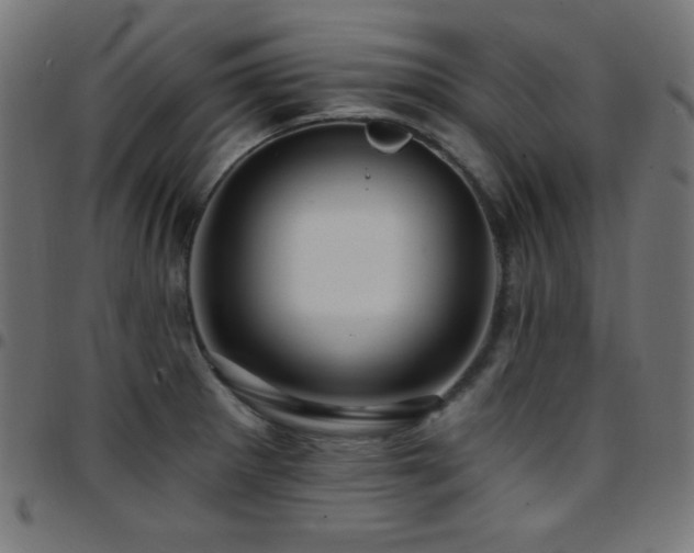 X0000097751281200803071240