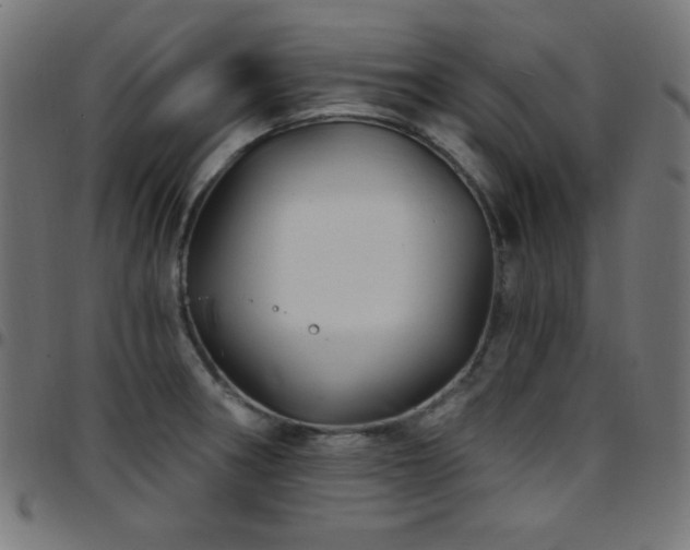 X0000097751282200803071240
