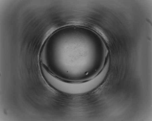 X0000097751283200803071240