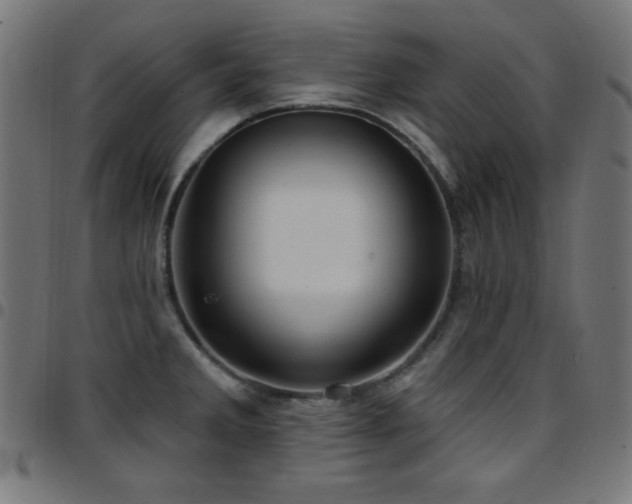 X0000097751285200803071240