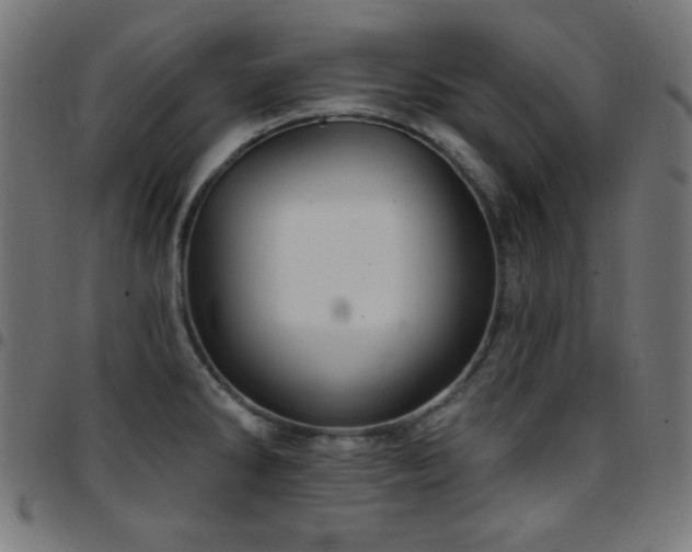 X0000097751286200803071240