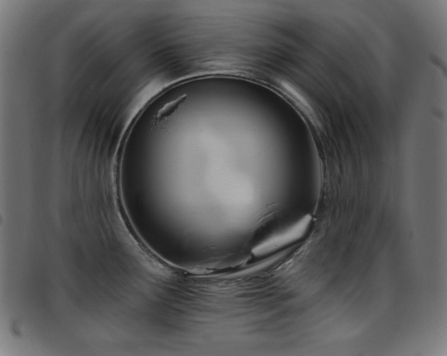 X0000097751291200803071240