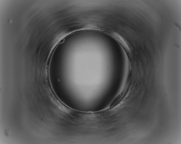 X0000097751292200803071240