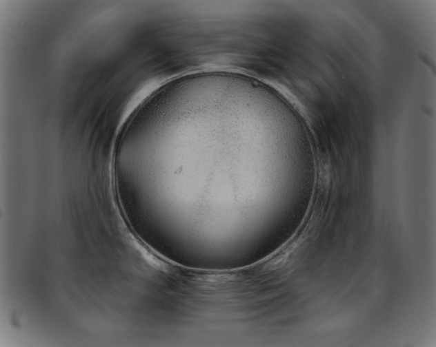 X0000097751294200803071240