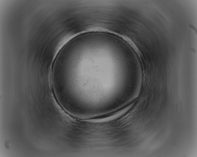 X0000097751295200803071240