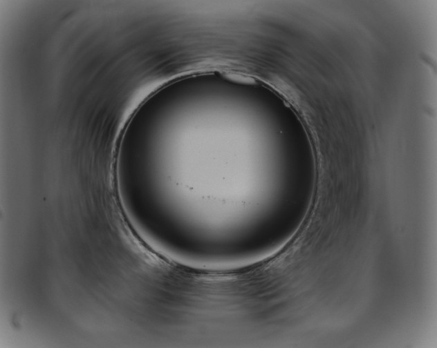 X0000097751296200803071240