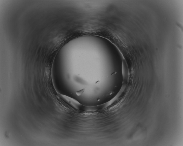 X0000097751300200803071239