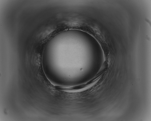 X0000097751301200803071239