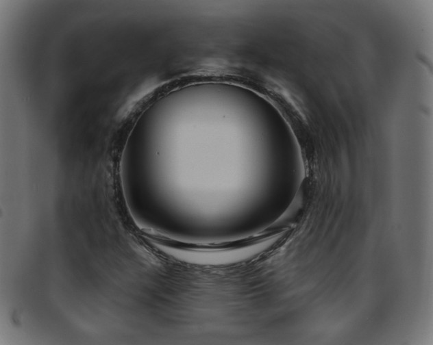 X0000097751304200803071239