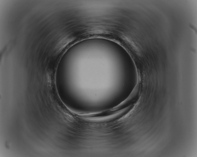 X0000097751305200803071239