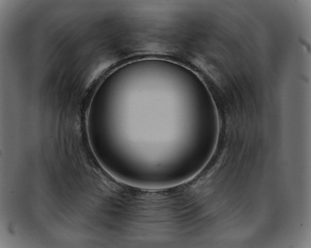 X0000097751307200803071239