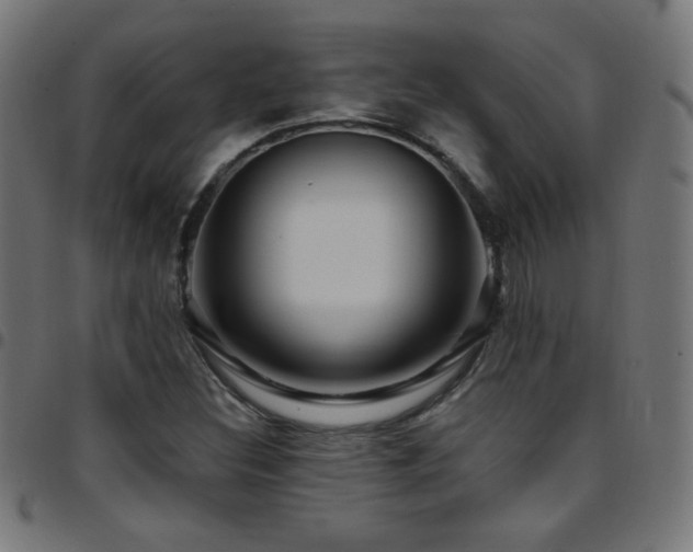 X0000097751308200803071239