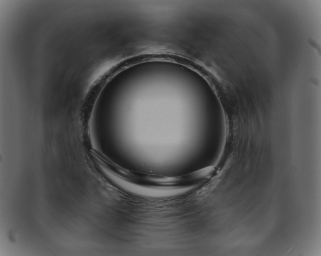 X0000097751311200803071239