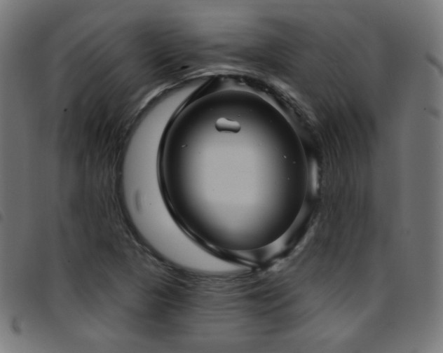 X0000097751313200803071239