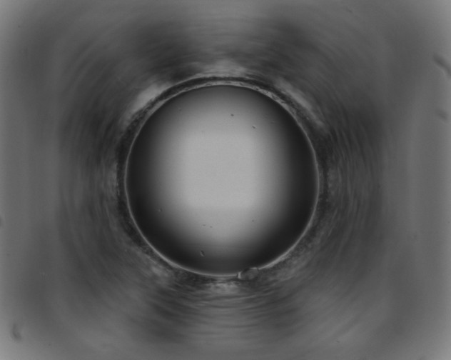 X0000097751315200803071239