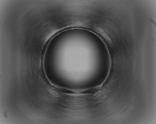 X0000097751316200803071239