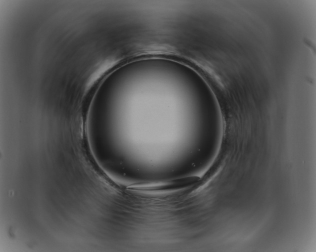 X0000097751317200803071239