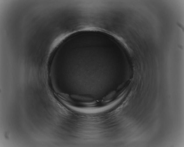 X0000097751319200803071239