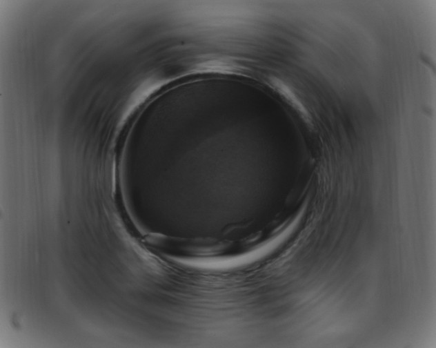 X0000097751323200803071239