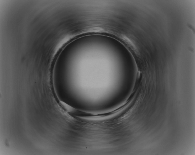 X0000097751326200803071239