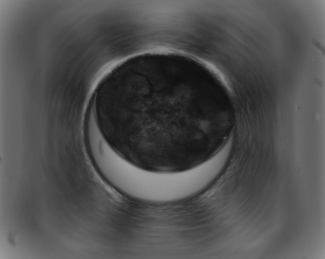 X0000097751327200803071239