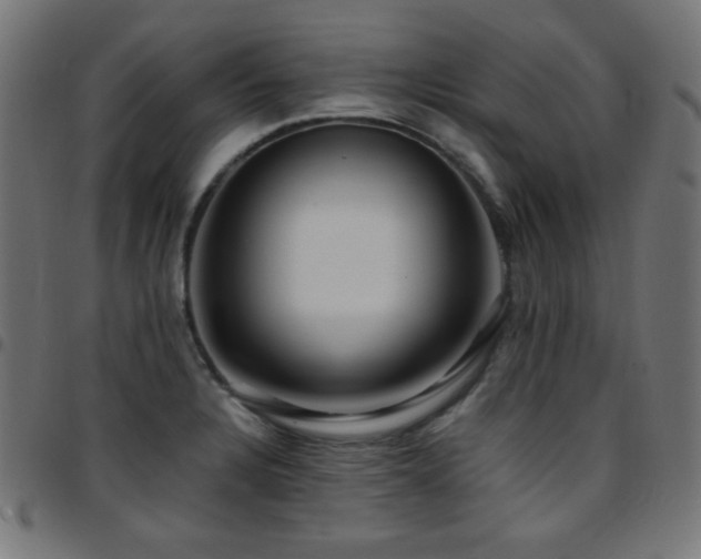 X0000097751328200803071239